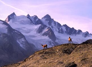 Ile kosztuje trekking w Himalajach?